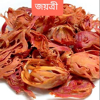 Mace Spice (জয়ত্রী)-ঘ্রাণ ও স্বাদে অনন্য 100